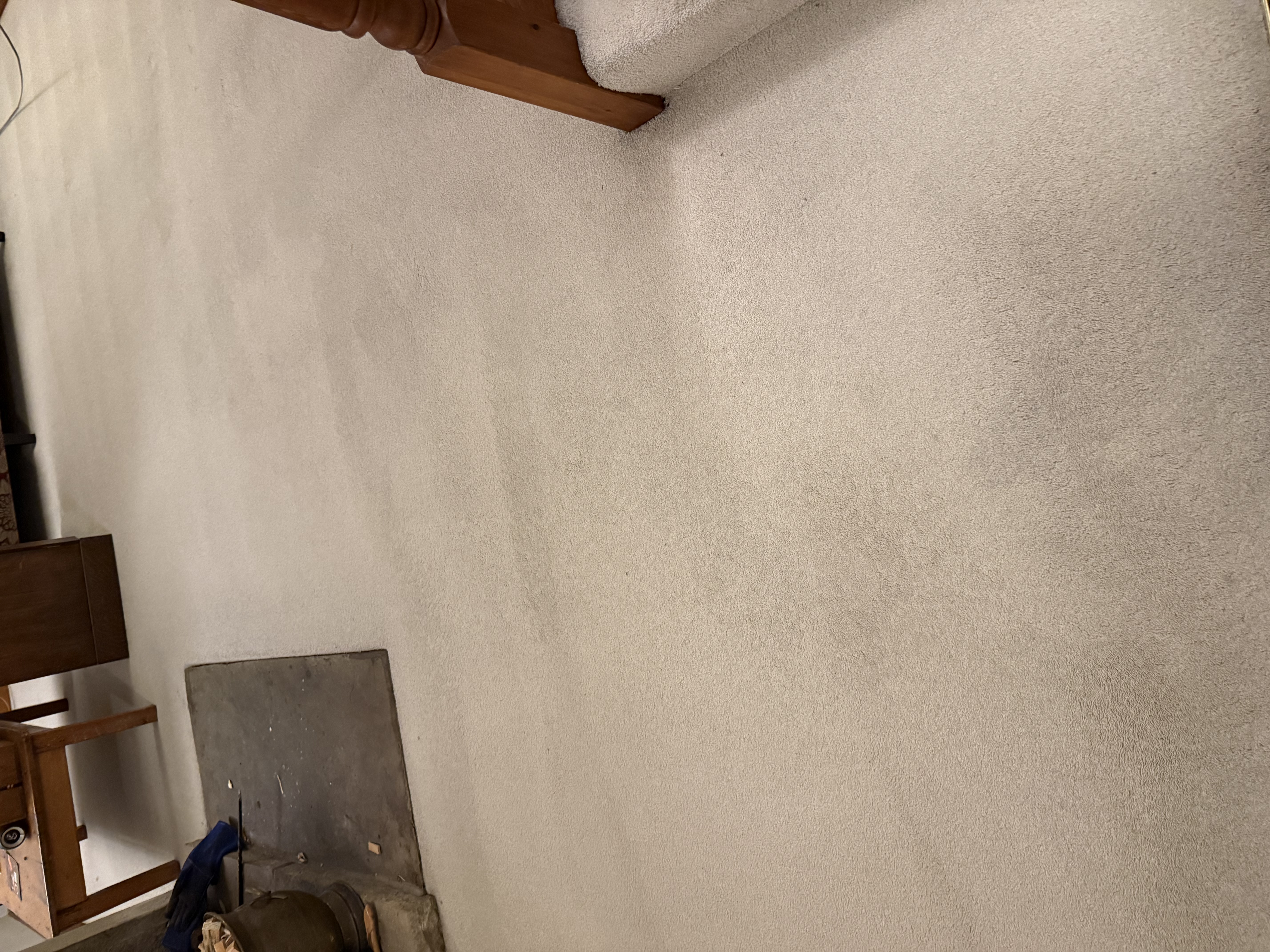 Eco-friendly carpet cleaning