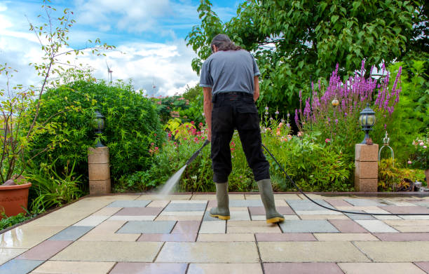 Indian Sandstone Cleaning